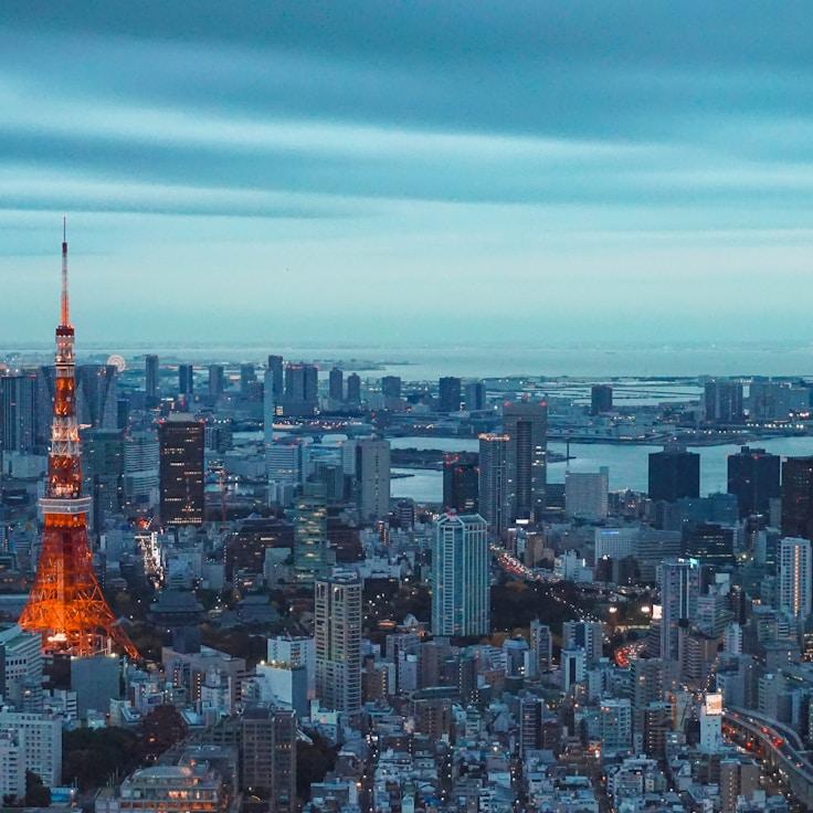 Family routine and school logistics in Springfield